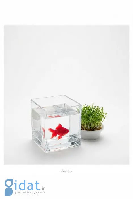 تبریک عید نوروز؛ بیش از ۱۰۰ پیام تبریک عید و سال نو برای موقعیت‌های مختلف (۱۴۰۵)