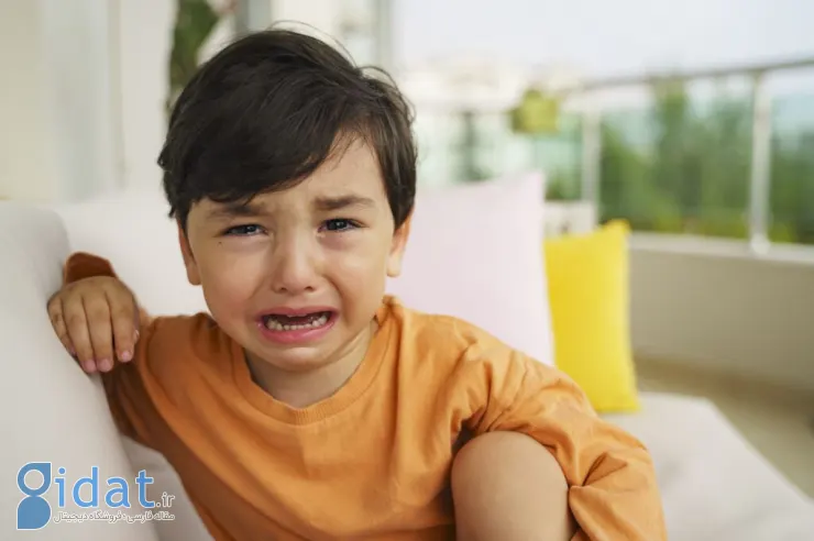 تنهایی گریه نکنید: رمز و راز اشک ریختن و همدلی کردن