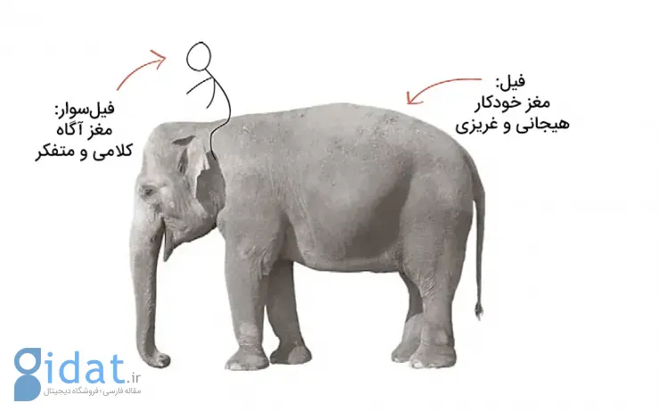 معرفی کتاب ذهن درستکار؛ چرا آدمهای خوب به خاطر مذهب و سیاست از هم متنفر میشوند؟