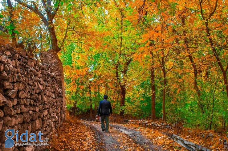 مکان های دیدنی خوانسار: لیست جاذبه های تاریخی و تفریحی + عکس