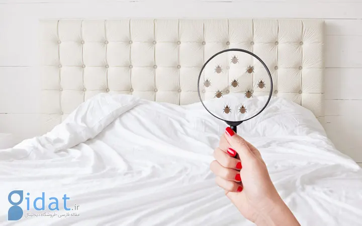 پماد کالامین ۸ درصد برای چیست؟ نحوه مصرف، عوارض و نکاتی که باید بدانید