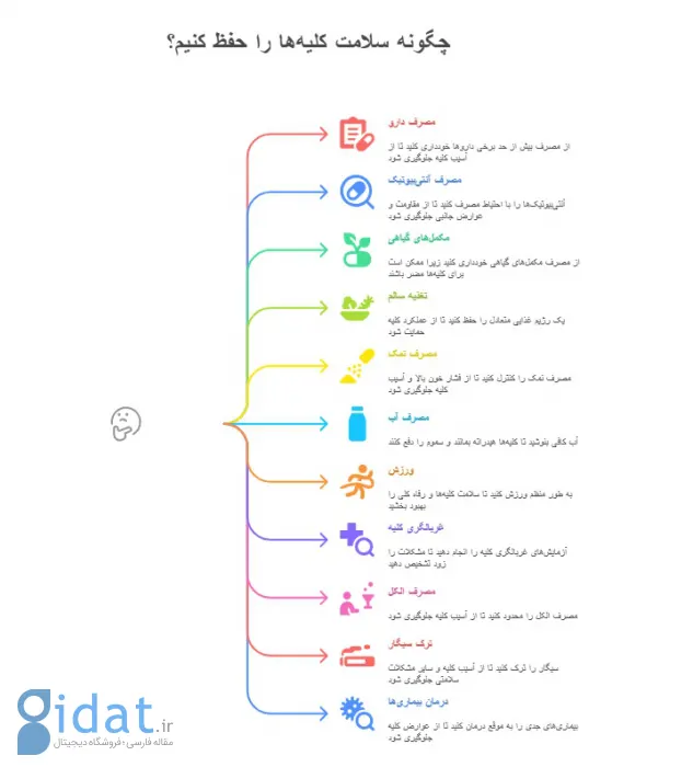 اینفوگرافیک سالم نگه داشتن کلیه‌ها