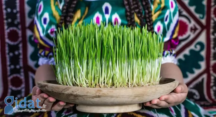 سیزده بدر: از تاریخچه سیزده بدر تا خرافات عجیب!