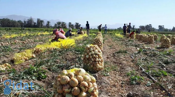 روستای شمیل؛ یکی از بهترین جاهای دیدنی هرمزگان