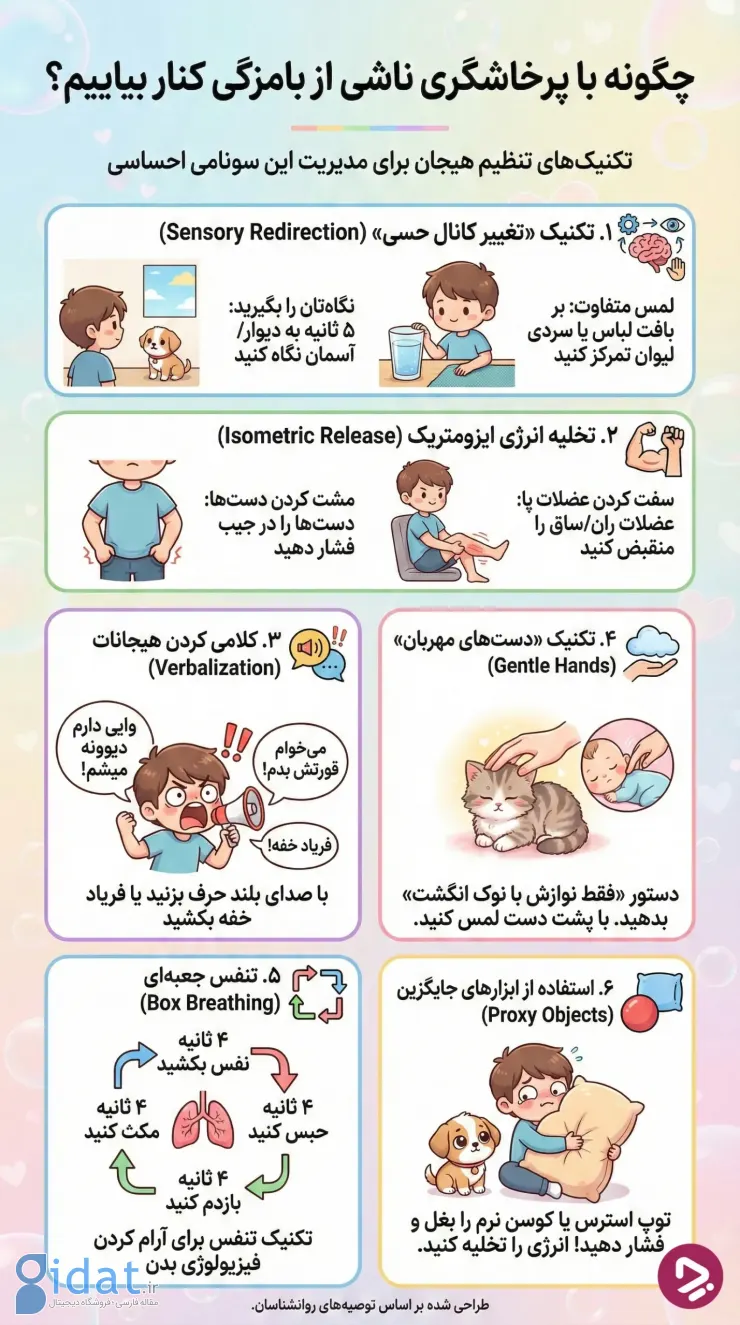 اینفوگرافیک کنار آمدن با پرخاشگری ناشی از بامزگی