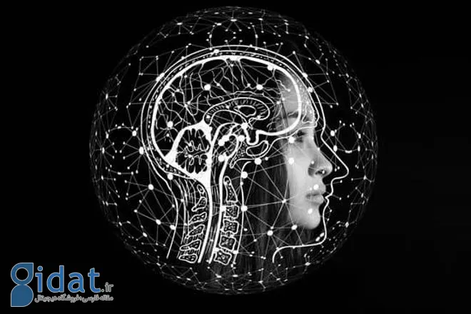 امواج دور مغز زن در پس زمینه مشکی