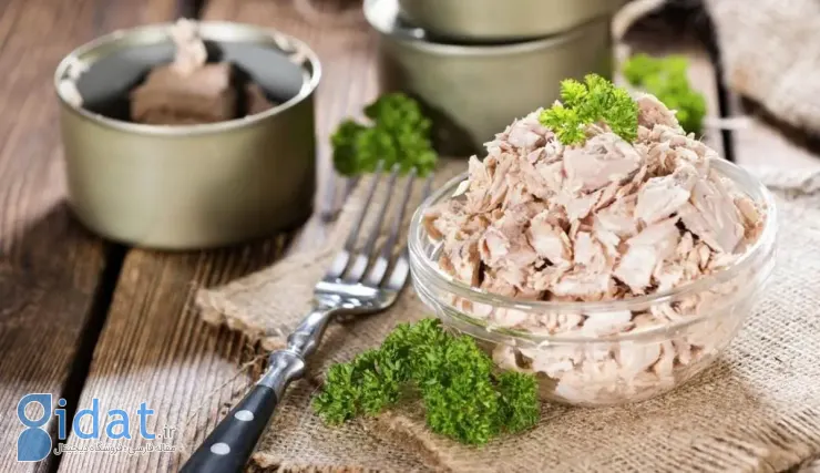 ماهی‌های مجاز در بارداری