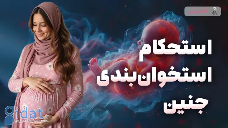استحکام اسکلت جنین به چه چیزی بستگی دارد؟