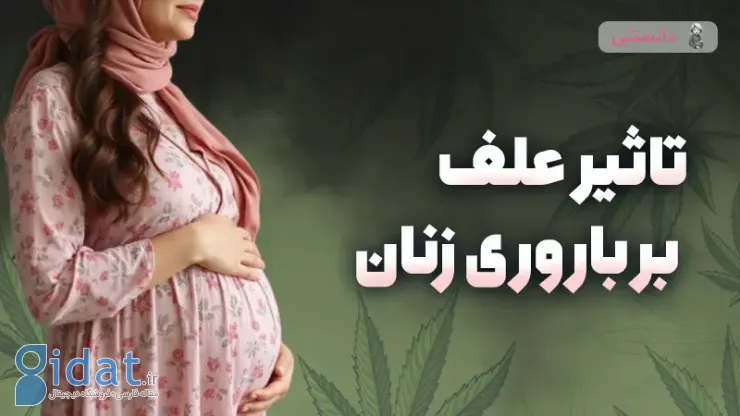 تأثیر علف های هرز یا ماری جوانا بر باروری زنان