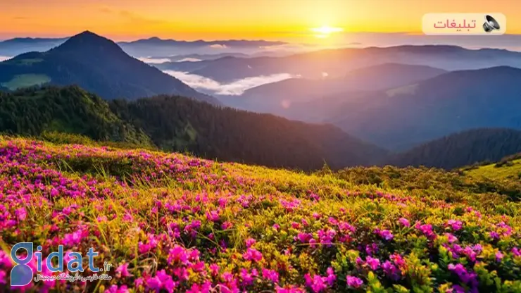بهترین شهر برای سفر در بهار