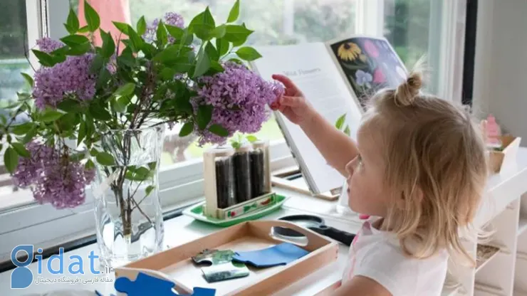 تاثیرات مثبت گل و گیاه در خانه بر رشد کودکان