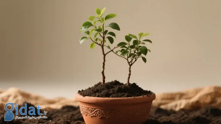 معیارهای ازدواج