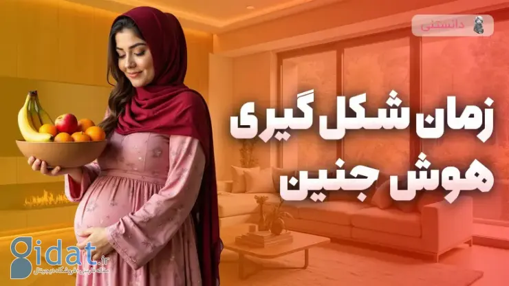 زمان شکل گیری هوش جنین