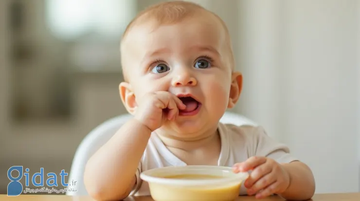 چگونه برنامه غذایی مناسبی برای نوزادان ۶ تا ۱۲ ماهه تنظیم کنیم؟