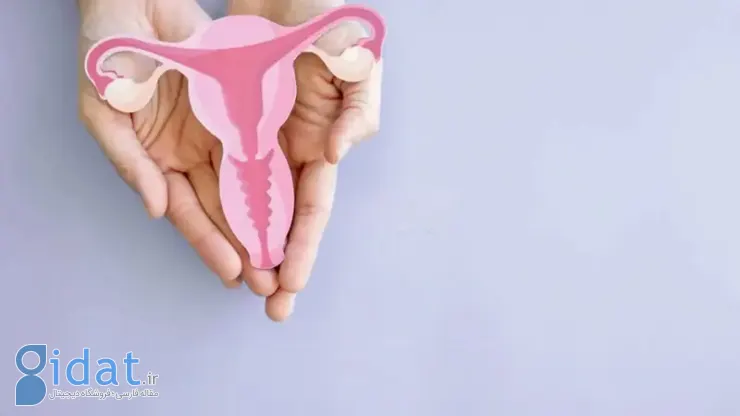انواع ترشحات واژن در بارداری