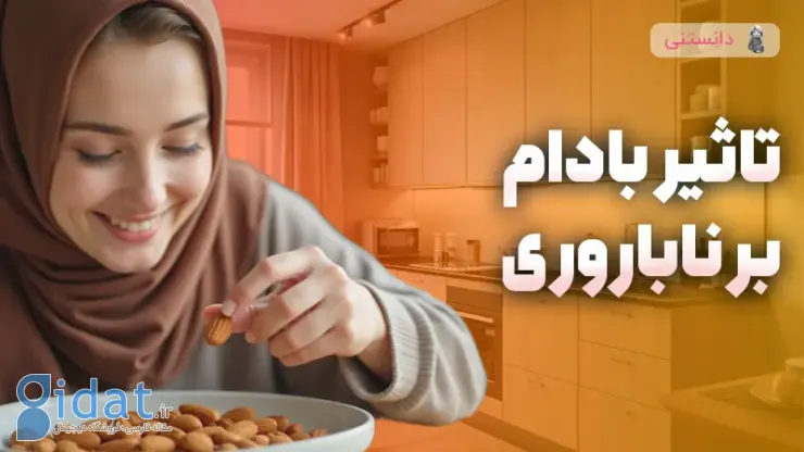 فواید بادام برای ناباروری