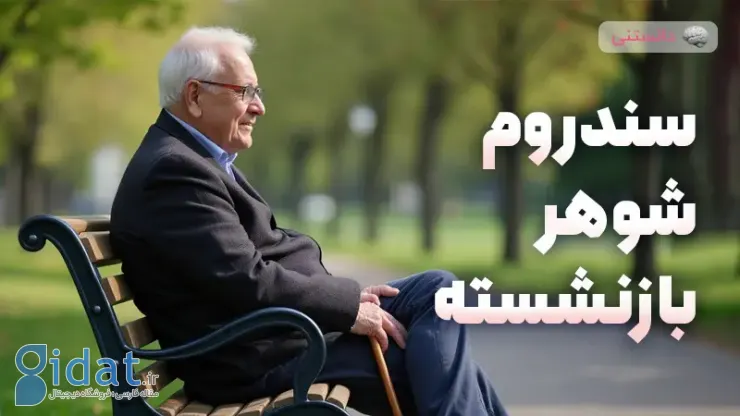 سندرم شوهر بازنشسته