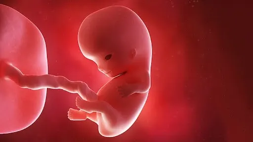 تعیین جنسیت نوزاد قبل از بارداری