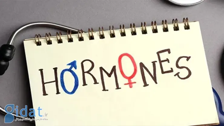 اهمیت آزمایش هورمون تستوسترون
