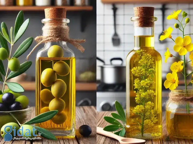 تفاوت فرآیند تولید روغن زیتون و کانولا