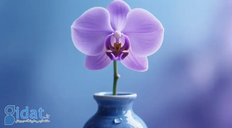 شهر برای روز مادر