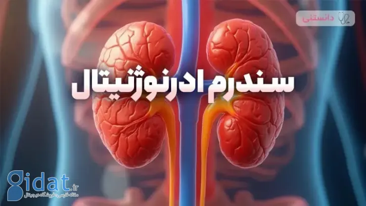 سندرم آدرنوژنیتال چیست؟