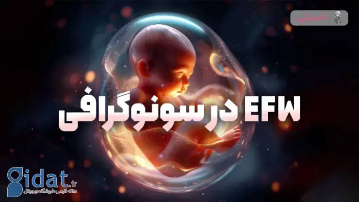 EFW در سونوگرافی یا وزن تخمینی جنین چیست؟