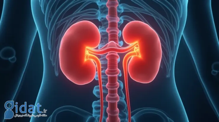 پیشگیری از سندرم ادرنوژنیتال