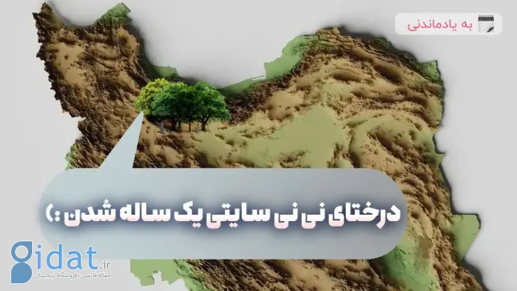 یک درخت، یک خاطره برای همیشه!