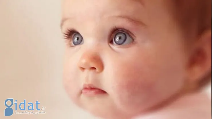 تأثیر رازیانه بر زیبا شدن چشم جنین در بارداری