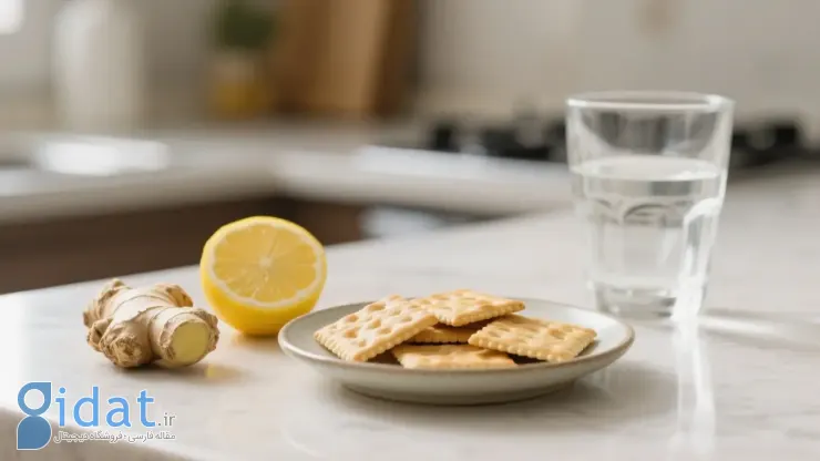 مواد غذایی دوران بارداری