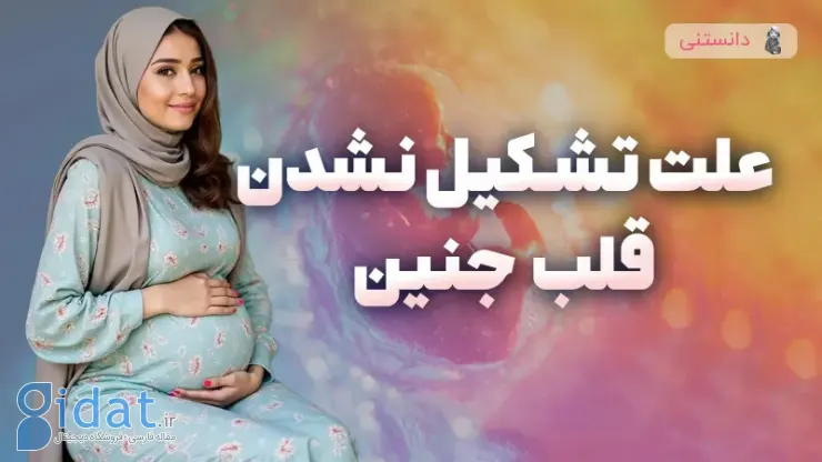علت تشکیل نشدن قلب جنین