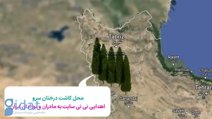 نی نی سایت مادران و نوزادان ایران برای کاشت درخت