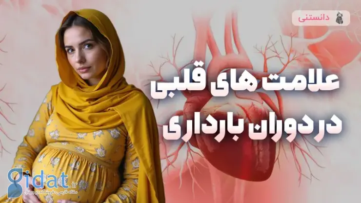 کدام علائم قلبی را در دوران بارداری جدی بگیرم؟