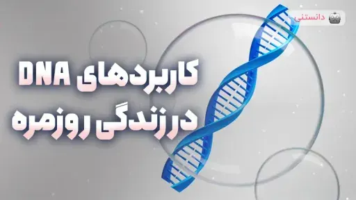 کاربردهای DNA در زندگی روزمره که شاید نمی دانستید