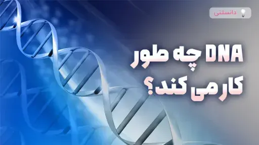 DNA چطور کار می کند؟ توضیح ساده برای همه سنین