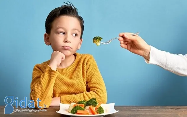 تغذیه سالم برای کودکان