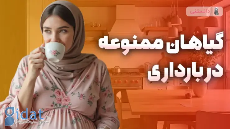 گیاهان ممنوعه در بارداری
