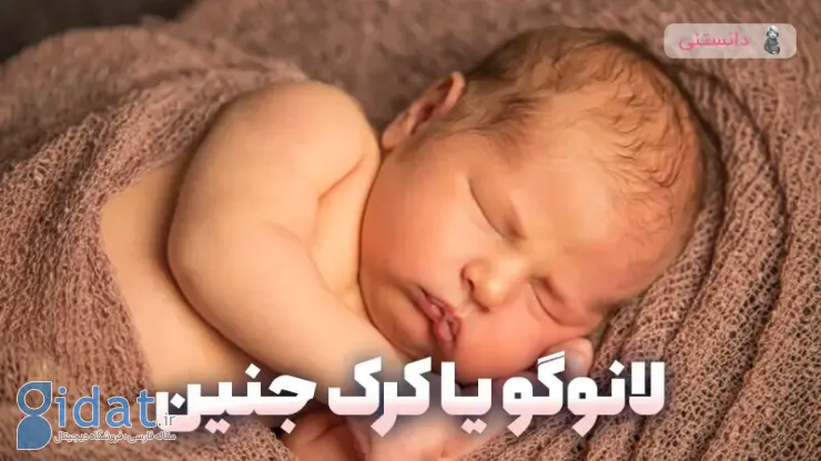 لانوگو چیست و موهای کودک شما در رحم چگونه رشد می کند؟