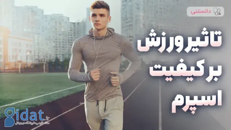تاثیر ورزش بر کیفیت اسپرم