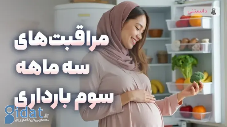 چک لیست روزانه برای سه ماهه سوم بارداری