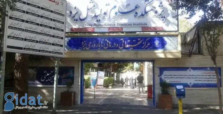 یزد مرکز مهم ناباروری در ایران است