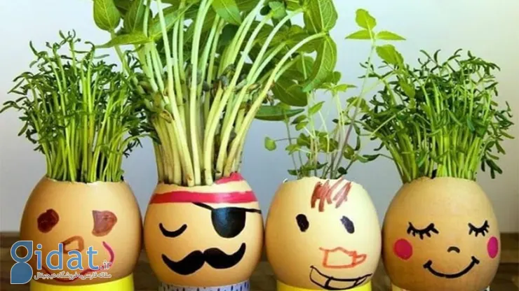 کاشت سبزه ی عید در پوست تخم مرغ