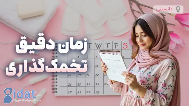 محاسبه دقیق زمان تخمک گذاری
