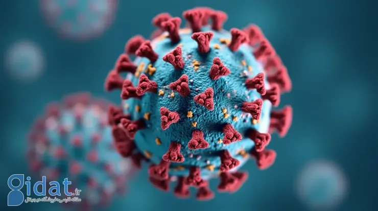 ابتلا به hpv در دوران بارداری