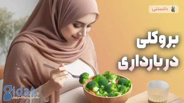 فواید کلم بروکلی در بارداری