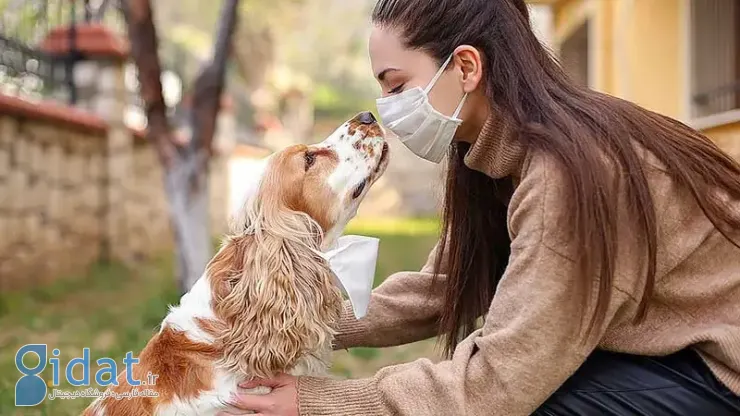 عوارض و معایب نگهداری حیوان خانگی 