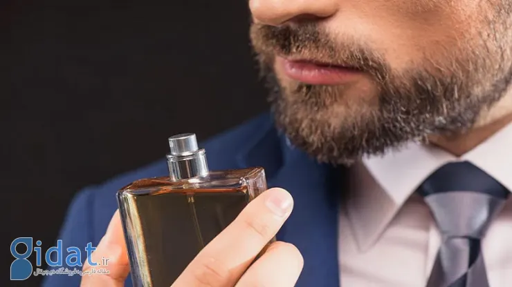 بهترین ادکلن خنک مردانه | معرفی 10 عطر سرد مردانه اصل