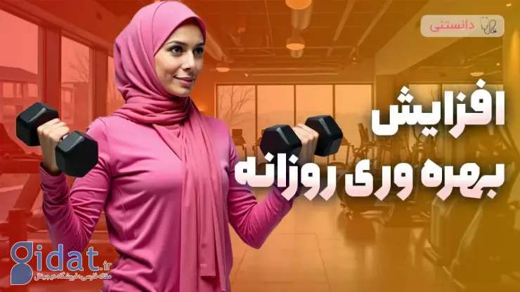 چگونه می توان برنامه ای برای افزایش بهره وری روزانه تنظیم کرد؟