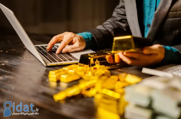 سخنگوی قوه قضائیه: سکوها ۳۰۰۰ کیلو طلا در بانک وثیقه گذاشته اند